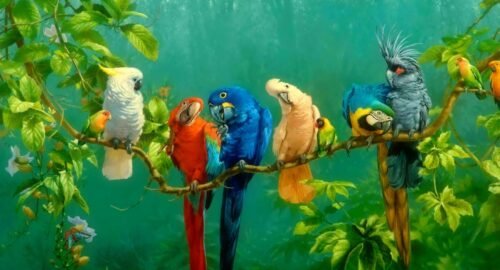 Top 10 Amazing Facts About Birds in 2020 - Petsplaza.in