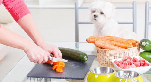 How-To-Make-Temporary-Recipes-For-Your-Dog-At-Home-images